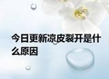 今日更新涼皮裂開是什么原因
