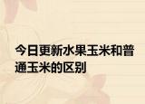 今日更新水果玉米和普通玉米的區(qū)別