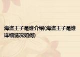 海盜王子是誰介紹(海盜王子是誰詳細(xì)情況如何)