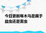 今日更新啄木鳥是屬于益蟲還是害蟲
