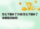 怎么下載補丁介紹(怎么下載補丁詳細(xì)情況如何)