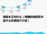 胡椒木又叫什么（明朝的胡椒蘇木是什么東西簡介介紹）