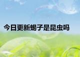 今日更新蝎子是昆蟲(chóng)嗎