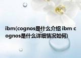 ibm(cognos是什么介紹 ibm cognos是什么詳細(xì)情況如何)