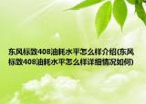 東風標致408油耗水平怎么樣介紹(東風標致408油耗水平怎么樣詳細情況如何)