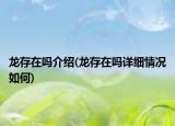 龍存在嗎介紹(龍存在嗎詳細情況如何)