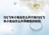 QQ飛車小兔仙怎么開介紹(QQ飛車小兔仙怎么開詳細(xì)情況如何)