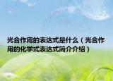 光合作用的表達(dá)式是什么（光合作用的化學(xué)式表達(dá)式簡(jiǎn)介介紹）