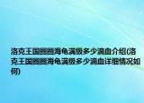 洛克王國圈圈海龜滿級多少滴血介紹(洛克王國圈圈海龜滿級多少滴血詳細(xì)情況如何)