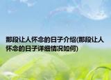 那段讓人懷念的日子介紹(那段讓人懷念的日子詳細(xì)情況如何)