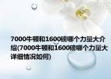 7000牛頓和1600磅哪個力量大介紹(7000牛頓和1600磅哪個力量大詳細(xì)情況如何)