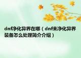 dnf凈化異界在哪（dnf未凈化異界裝備怎么處理簡(jiǎn)介介紹）