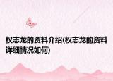 權(quán)志龍的資料介紹(權(quán)志龍的資料詳細情況如何)