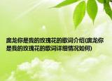 龐龍你是我的玫瑰花的歌詞介紹(龐龍你是我的玫瑰花的歌詞詳細(xì)情況如何)