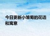 今日更新小雛菊的花語和寓意
