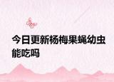 今日更新楊梅果蠅幼蟲(chóng)能吃嗎