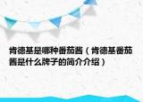 肯德基是哪種番茄醬（肯德基番茄醬是什么牌子的簡(jiǎn)介介紹）