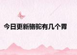 今日更新駱駝有幾個(gè)胃