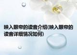 映入眼簾的讀音介紹(映入眼簾的讀音詳細(xì)情況如何)