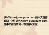 求f(X)rum(pum pum pum的中文諧音歌詞~介紹 求f(X)rum pum pum pum的中文諧音歌詞~詳細(xì)情況如何)