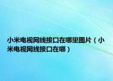小米電視網(wǎng)線接口在哪里圖片（小米電視網(wǎng)線接口在哪）