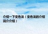 介紹一下變色龍（變色龍的介紹簡(jiǎn)介介紹）