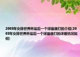2003年女排世界杯最后一個球是誰打的介紹(2003年女排世界杯最后一個球是誰打的詳細(xì)情況如何)