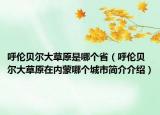 呼倫貝爾大草原是哪個(gè)省（呼倫貝爾大草原在內(nèi)蒙哪個(gè)城市簡(jiǎn)介介紹）