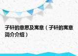 子軒的意思及寓意（子軒的寓意簡(jiǎn)介介紹）