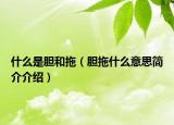 什么是膽和拖（膽拖什么意思簡介介紹）