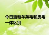 今日更新羊羔毛和皮毛一體區(qū)別