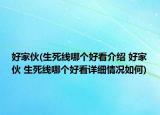 好家伙(生死線哪個好看介紹 好家伙 生死線哪個好看詳細(xì)情況如何)