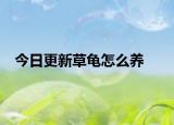 今日更新草龜怎么養(yǎng)