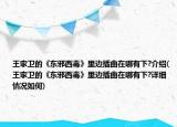 王家衛(wèi)的《東邪西毒》里邊插曲在哪有下?介紹(王家衛(wèi)的《東邪西毒》里邊插曲在哪有下?詳細(xì)情況如何)