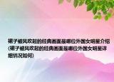 裙子被風(fēng)吹起的經(jīng)典畫(huà)面是哪位外國(guó)女明星介紹(裙子被風(fēng)吹起的經(jīng)典畫(huà)面是哪位外國(guó)女明星詳細(xì)情況如何)