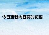 今日更新向日葵的花語