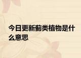 今日更新薊類植物是什么意思