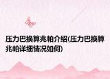 壓力巴換算兆帕介紹(壓力巴換算兆帕詳細(xì)情況如何)