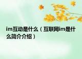 im互動是什么（互聯(lián)網(wǎng)im是什么簡介介紹）