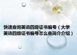 快速查詢英語四級證書編號（大學(xué)英語四級證書編號怎么查簡介介紹）