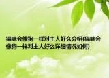 貓咪會像狗一樣對主人好么介紹(貓咪會像狗一樣對主人好么詳細(xì)情況如何)