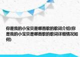 你是我的小寶貝是哪首歌的歌詞介紹(你是我的小寶貝是哪首歌的歌詞詳細(xì)情況如何)