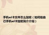 手機(jī)sd卡文件怎么加密（如何給自己手機(jī)sd卡加密簡介介紹）
