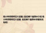 陸小鳳傳奇繡花大盜里,(最后哪個是薛冰介紹 陸小鳳傳奇繡花大盜里, 最后哪個是薛冰詳細(xì)情況如何)