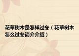 花草樹木是怎樣過冬（花草樹木怎么過冬簡介介紹）
