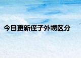 今日更新侄子外甥區(qū)分