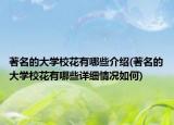 著名的大學(xué)校花有哪些介紹(著名的大學(xué)?；ㄓ心男┰敿?xì)情況如何)