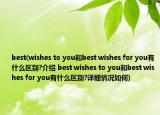 best(wishes to you和best wishes for you有什么區(qū)別?介紹 best wishes to you和best wishes for you有什么區(qū)別?詳細情況如何)