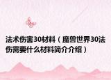 法術(shù)傷害30材料（魔獸世界30法傷需要什么材料簡(jiǎn)介介紹）