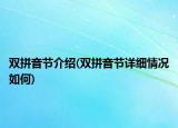 雙拼音節(jié)介紹(雙拼音節(jié)詳細情況如何)